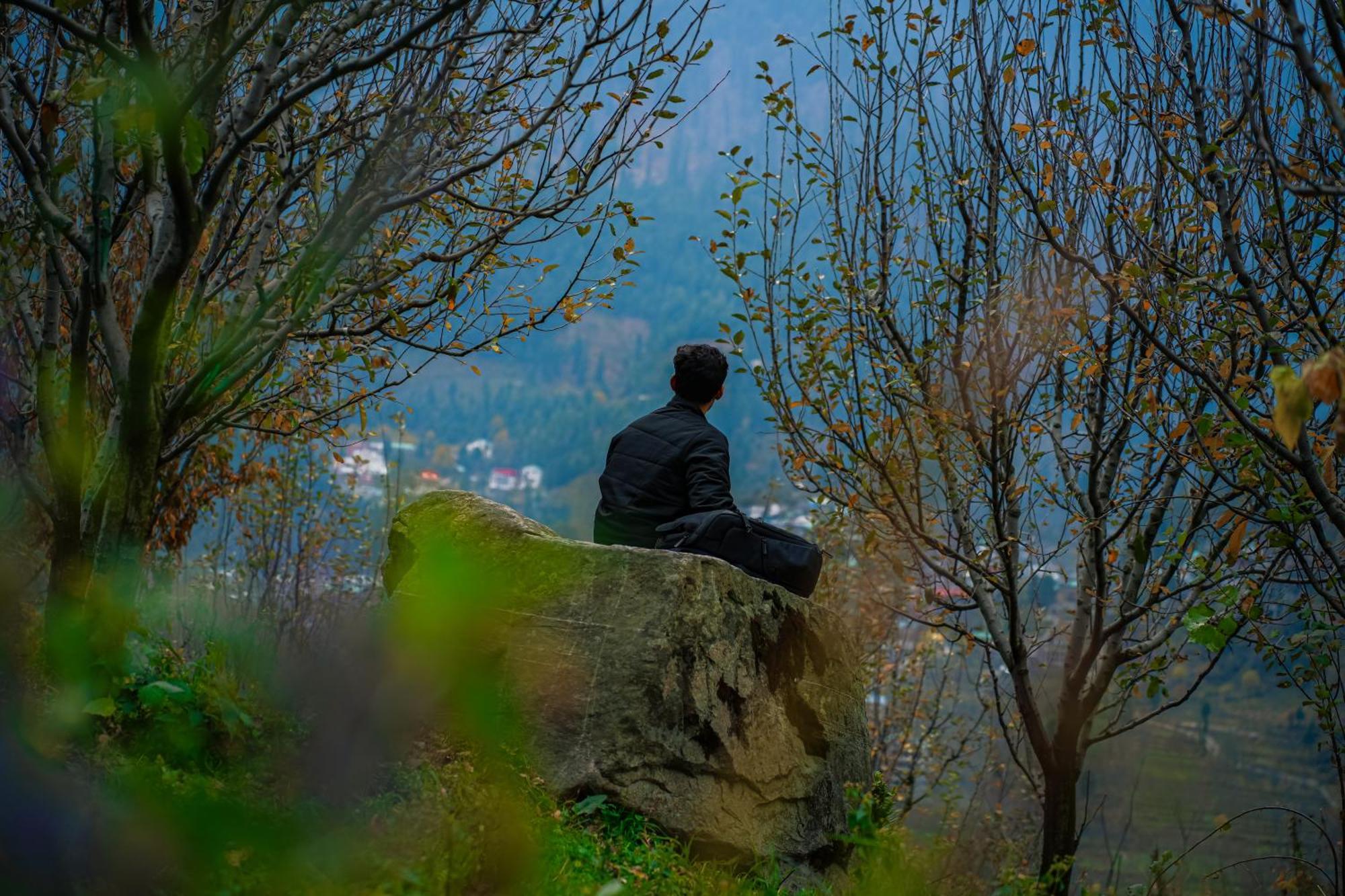 Yaarana Stay & Cafe, Vashisht, Manali Екстер'єр фото